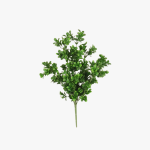 Boxwood Green Bush 44cm