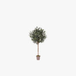 Artificial Olive Tree Ball with Olives H150